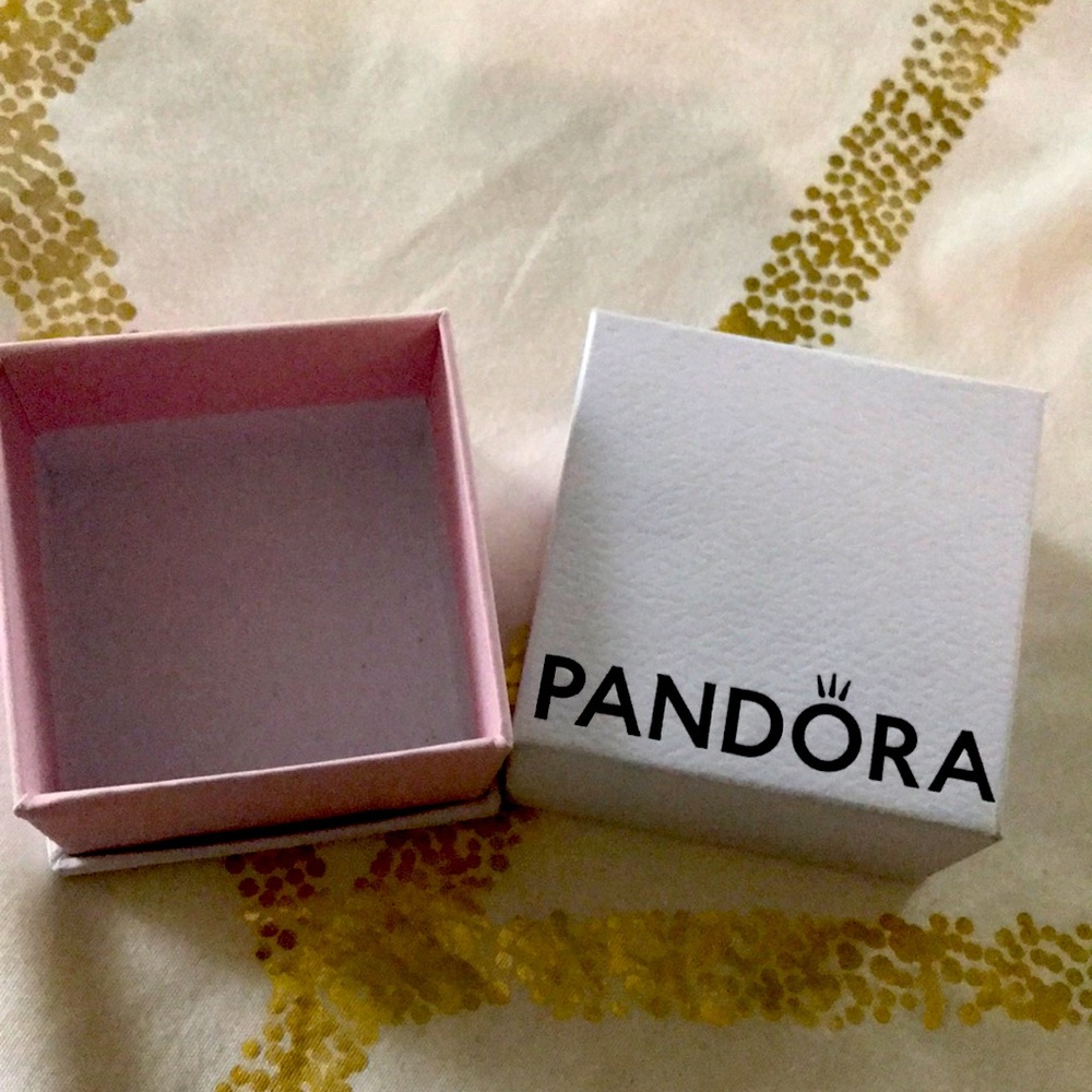 Pandora Charm Box